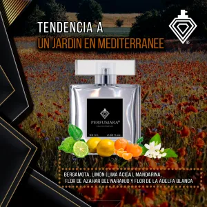 Tendencia a DUn Jardin En Mediterranee